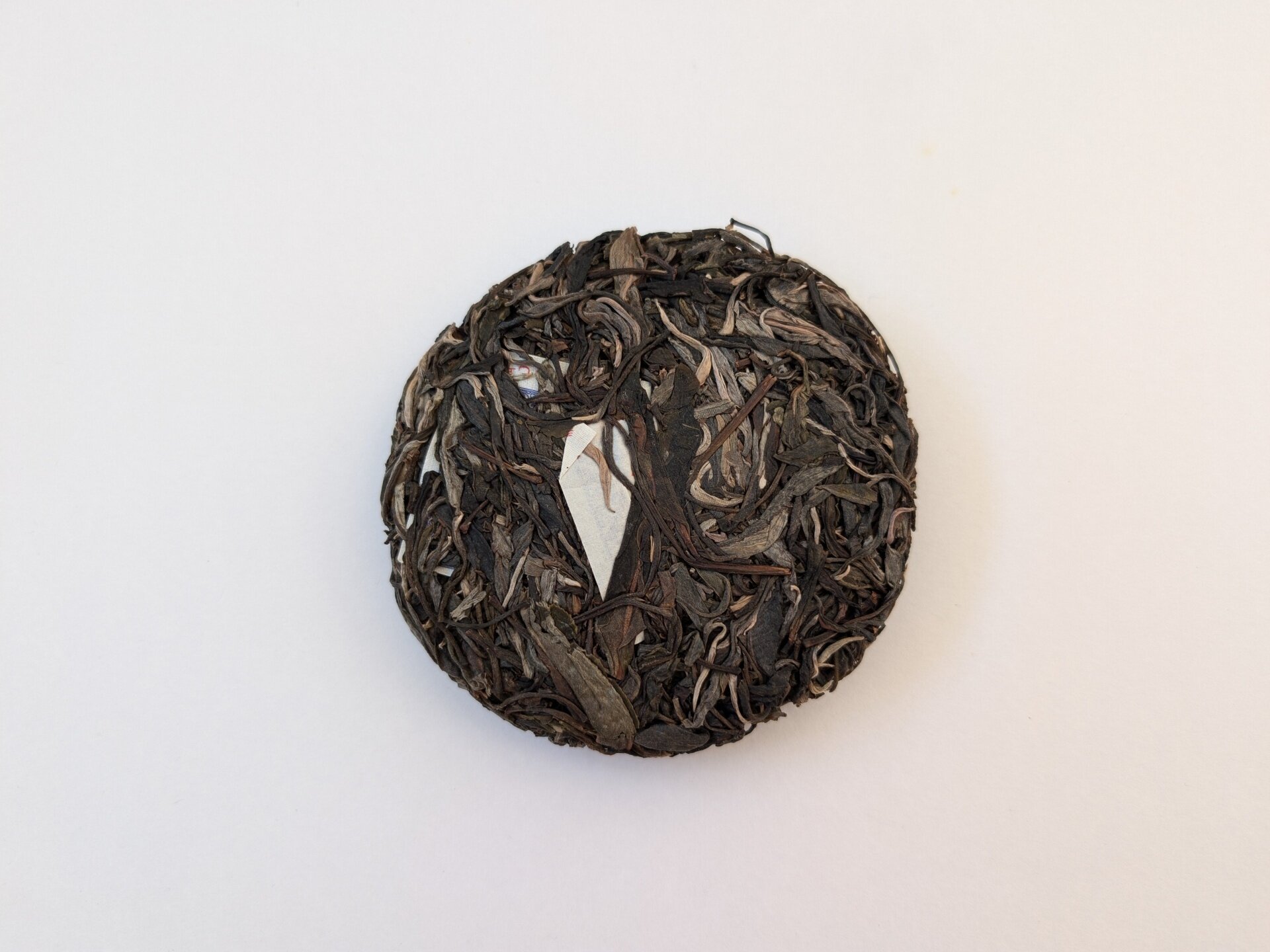 PXL_20250920_140103091